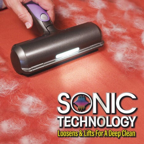 Sweeper Brush,Brosse anti-poils d'animaux, ramassage de poils de chat/chien-violet et gris-pour canapé/vêtements/voitures