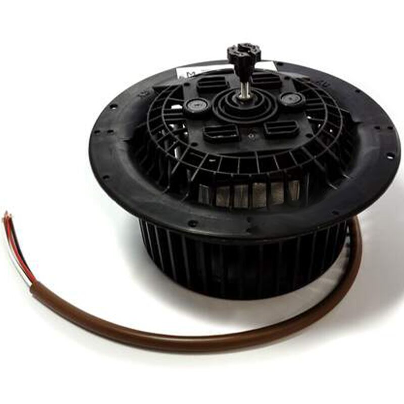 35W 220V scroll standard bell engine