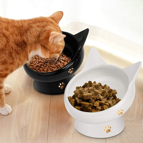 can small dogs have cat food