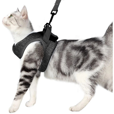 Cat Harness - Ultralight Cat Harness and Leash Set Leak Proof Adjustable Kitten Harness for Puppy Rabbit Ferret (Blue, L)