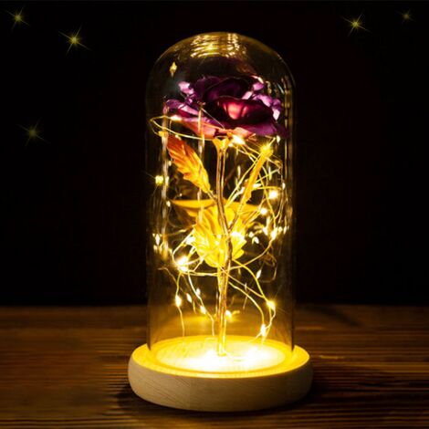 A Romantic Simulation Rose with Led Light Great Gift for Valentine Mothers Day Wedding Anniversary Romantic Glass Cover Fairy Night Light Beauty and The Beast Rose Kit 