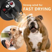 Upgraded dog dryer, professional quick-drying dog grooming hair dryer, noise-reducing dog hair dryer with heater, high-speed airflow dryer for dogs 3.2HP stepless adjustable speed, pet grooming bath