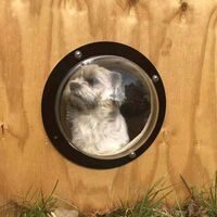 Clear Acrylic Window Semicircle Cover Pet Fence Window Cat and Dog Fence Window (Transparent)