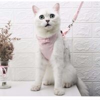 Cat Harness - Ultralight Cat Harness and Leash Set Leak Proof Adjustable Kitten Harness for Puppy Rabbit Ferret GREEN M