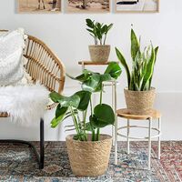 Plant basket 3-piece seagrass basket Hand-woven flower basket with waterproof plastic lining plant pot container lid storage storage basket Indoor and outdoor plant pots