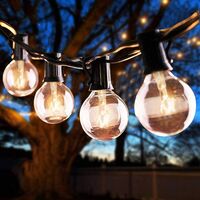 10 Ones Design 25FT String Lights, G40 Outdoor String Lights Edison Light Bulbs Clear Globe Lights for Backyard Patio Lights Indoor/Outdoor Commercial Decoration -5 Watt/120 Voltage/E12 Base -Black Wire