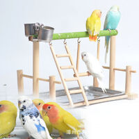 Portable Bird Playground Tiger Parrot Stand Desk Training Bench Parrot Toy Solid Wood Bird Bird Activity Center