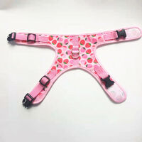 Cat harness Harness for cats Puppy harness, soft vest with leash for kitten dogs, M Three-piece set