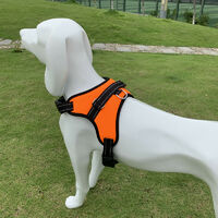 Puppy / Cat Harness Set Adjustable Leakproof Soft Mesh Vest Chest Leash