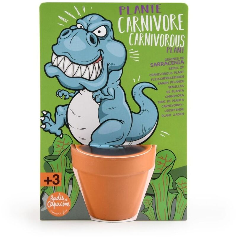 Kit T-Rex Dinosaure Et Plantes Carnivores à Semer - Carte Avec Pot - Radis Et Capucine | Activité Ludique Et Éducative Pour Enfants