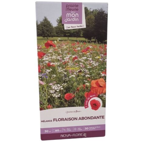 Mélange prairie fleurie : Floraison abondante 30 m2 (1/3)