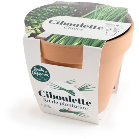 Pot en terre cuite antique - Ciboulette bio (1/3)