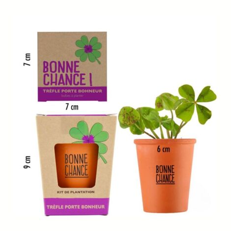 Kit Message Bonne Chance Trèfle à 4 Feuilles - Radis Et Capucine - Idéal Cadeau Porte-Bonheur