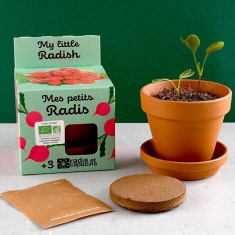 Kit plantation - Radis bio - 8cm (1/5)
