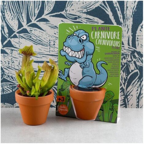 Pot Bébé Nomade Pot Nomade Dinosaure Fabriqué En France