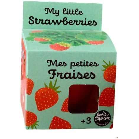 Kit plantation - Fraisier - 8cm