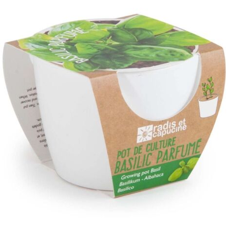 Pot de culture en céramique - Basilic Grand vert - 8 cm (1/4)