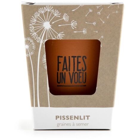 Kit message Faites un voeu - Pissenlit (1/3)