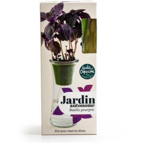 Jardin autonome - Basilic Pourpre bio (1/5)