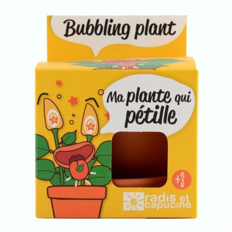 Pot avec coupelle - Plante qui pétille - 8 cm