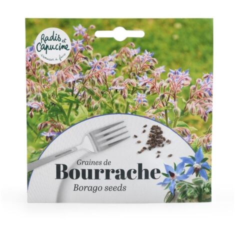 Sachet graines fleurs comestibles - Bourrache (1/4)
