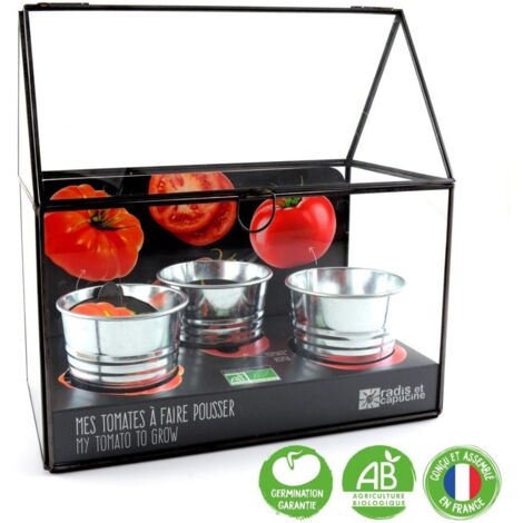 Serre avec châssis zinc noir - Tomates bio - 3 pots (1/7)