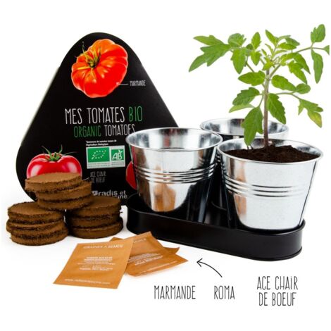 Plateau trio pots zinc - Tomates bio (1/3)