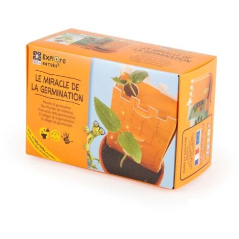 Kit de découverte - Miracle de la germination