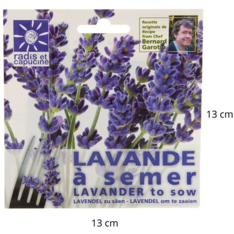 Sachet graines fleurs comestibles - Lavande (1/5)