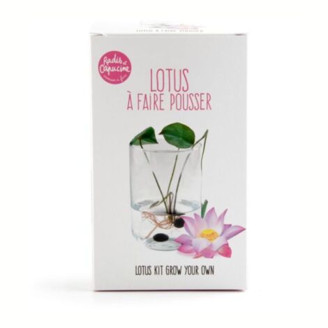 Garden set - Lotus zen (1/7)