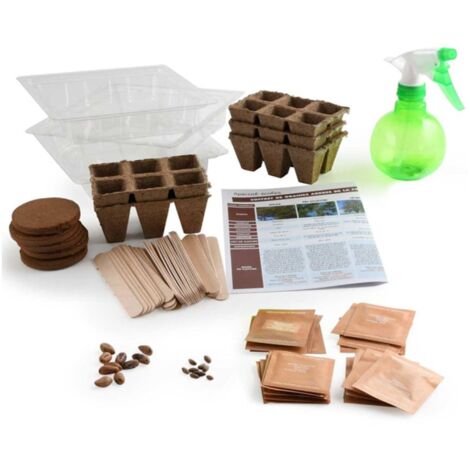 Coffret matériel et 30 sachets de graines : Les arbres de la forêt (1/2)