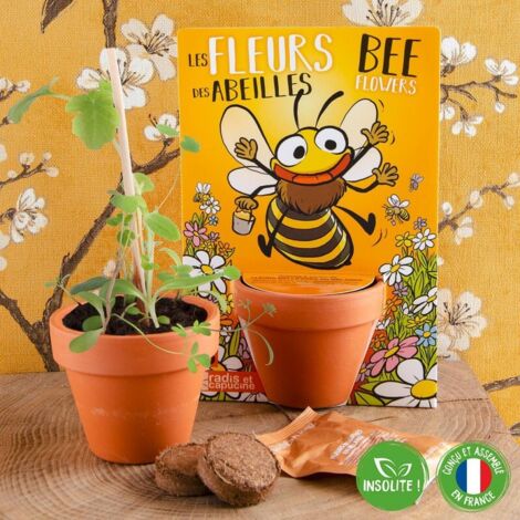Fleurs des Abeilles à semer - Carte avec pot (1/5)