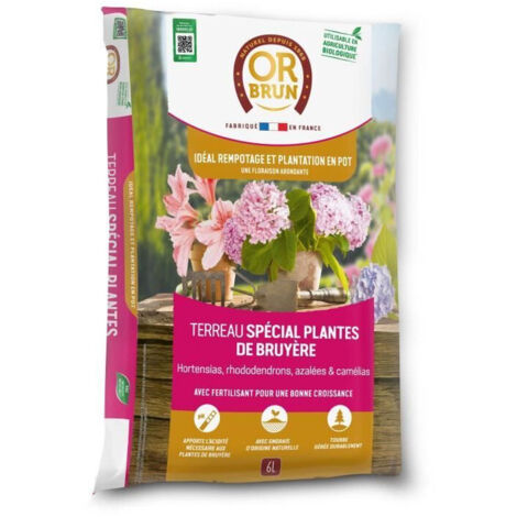 Terreau spécial plantes de bruyère - Sac de 6 litres