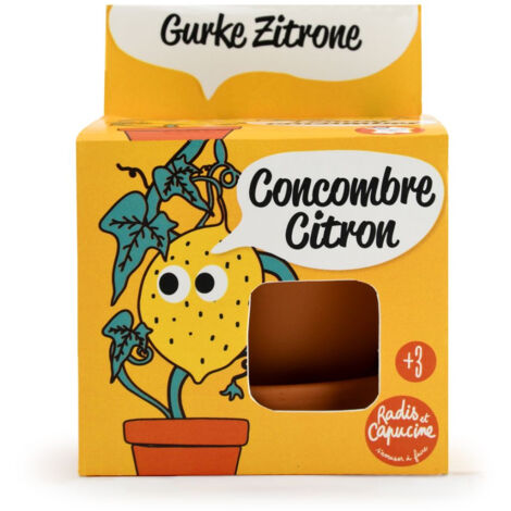 Kit pot terre cuite 8 cm - Concombre citron