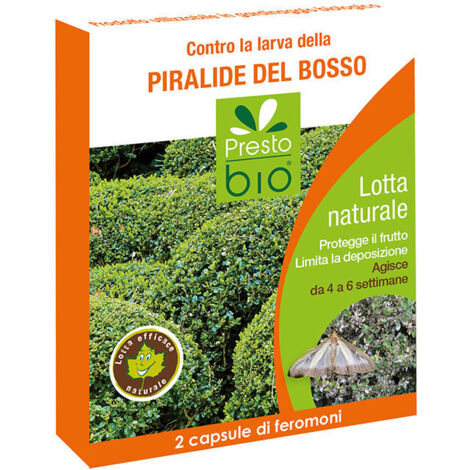 Phéromone contre la Pyrale du buis 2 capsules individuelles