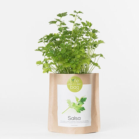 Kit bio prêt à pousser Persil (1/4)