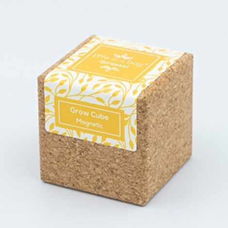 Grow Cube aimanté Tournesol (1/4)