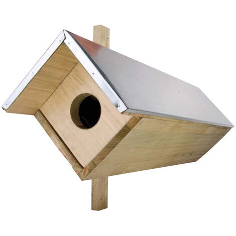 Nichoir Chouette Chevêche en bois 81 cm – Fixation murale – Bois pin traité – Pour espaces extérieurs – Résistant aux intempéries – Best For Birds (1/6)