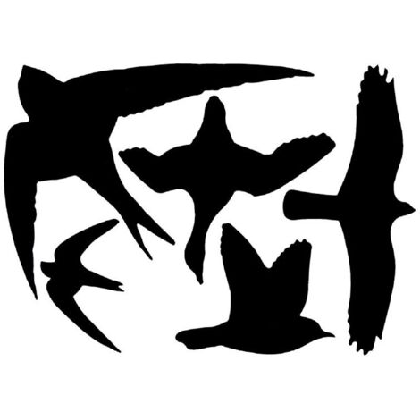 5 silhouettes d'oiseaux autocollantes anti-collision (1/3)