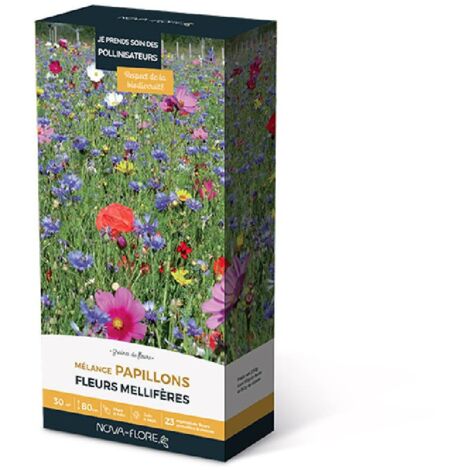 Prairies fleuries : j'invite les papillons 30 m2 (1/2)