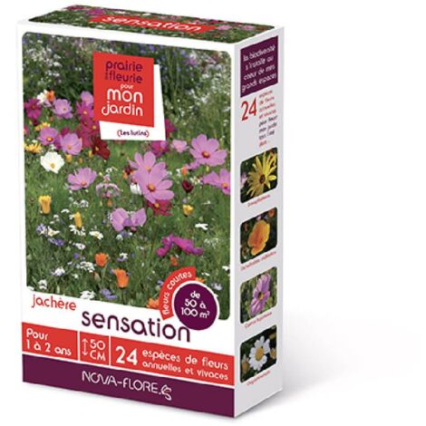 Mélange de fleurs sensation 50 à 100 m² – Exposition soleil/mi-ombre – Semis au printemps – Couleurs blanc, jaune, rose – Achat Nature