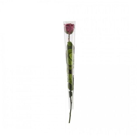 Rose Stabilisée Kiara avec Tige 55 cm | SL