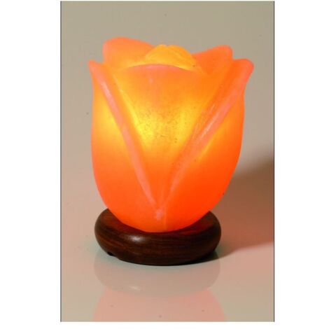 LAMPE DE SEL - LOTUS - ORA Pierres & Merveilles LAMPE DE SEL - LOTUS - ORA Pierres & Merveilles