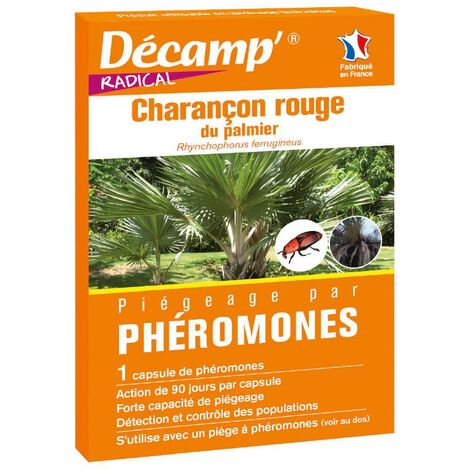 Phéromone contre le charançon rouge du palmier – Insecticide biologique – Utilisation avec piège – Action 4 à 6 semaines par capsule – Décamp'