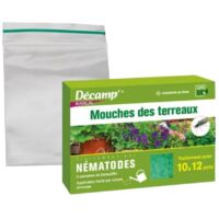Nématodes SF anti mouches des terreaux 2M – Lutte biologique ciblée – Action rapide en 48h – Pour traitements préventifs et curatifs – Décamp'