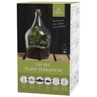 Kit Terrarium à faire soi-même avec vase en verre - 3 L - D 30,3 x H 44,4 cm - Livraison gratuite
