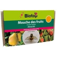 50 planches jaunes pour lutter contre les moucherons fongiques 20cmx15cm,  piège à mouches autocollant jaune premium, bouchon jaune contre la mouche  des fruits cerise, colle de chenille, nématodes