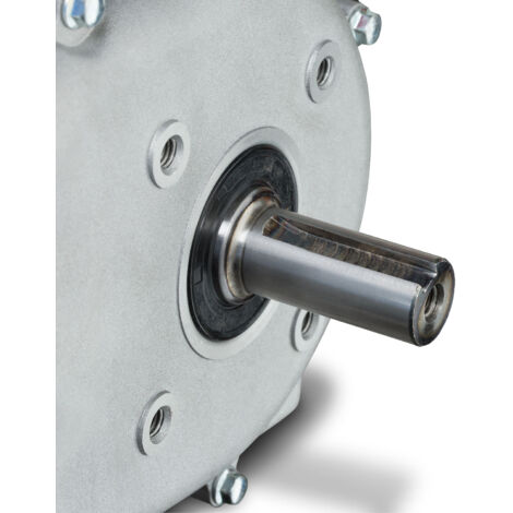 EBERTH 6,5 CV Motor a gasolina con Embrague de baño de aceite (20 mm Eje, Seguridad por falta de aceite, 1 Cilindro, 4 Tiempos, refrigerado por aire, Arranque rectractil)
