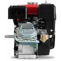 EBERTH 5,5 CV 4,1 kW Motor estacionario de gasolina (eje cónico de 19 mm de diámetro, protección de bajo nivel de aceite, cilindrada de 163 cc, 1 cilindro, 4 tiempos, refrigerado por aire, arranque por cable)