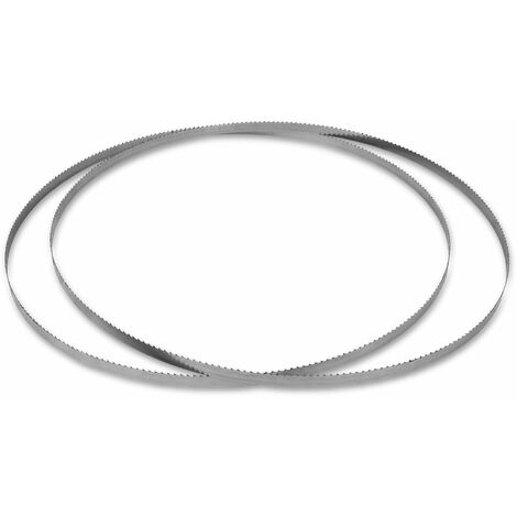 Lame ricambio segaossa inox 1650mm confezione 2 pezzi professionali – vertes (1/3)